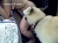 Bestiality Movie - Mutt rides his owner's bawdy cleft